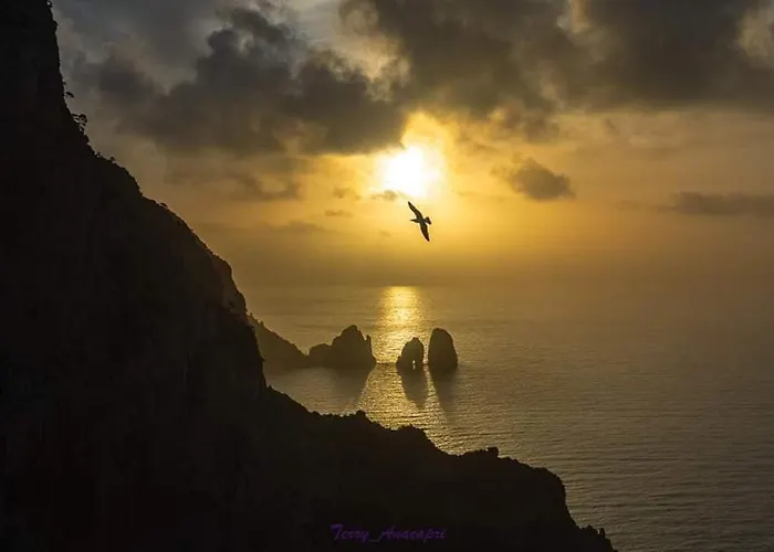 L'affresco Caprese *