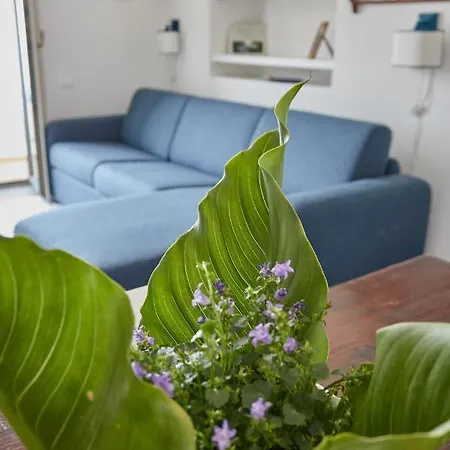 L'affresco Caprese カプリ