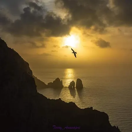 L'affresco Caprese *