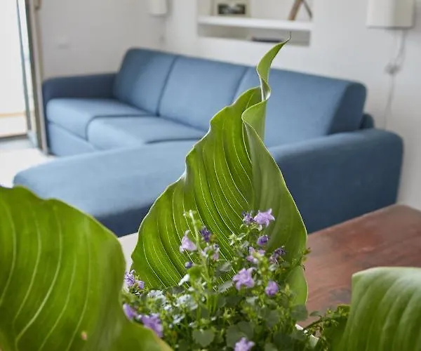 L'affresco Caprese Capri